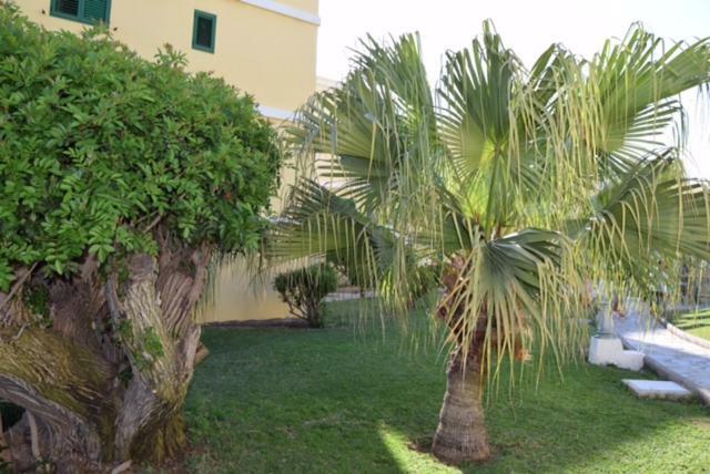 Tara Apartment Playa del Inglés Esterno foto